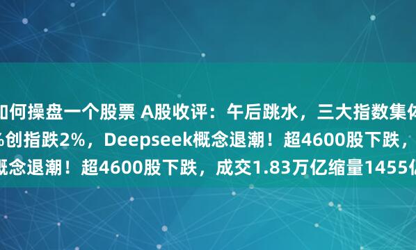 如何操盘一个股票 A股收评：午后跳水，三大指数集体下跌！沪指跌0.93%创指跌2%，Deepseek概念退潮！超4600股下跌，成交1.83万亿缩量1455亿
