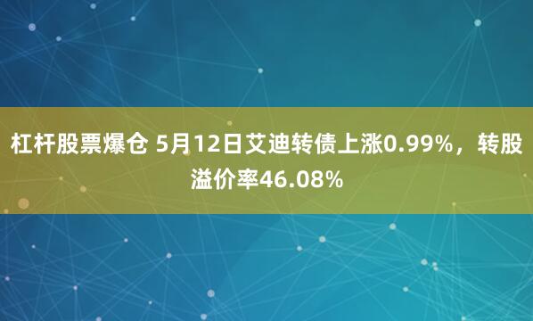 杠杆股票爆仓 5月12日艾迪转债上涨0.99%，转股溢价率46.08%