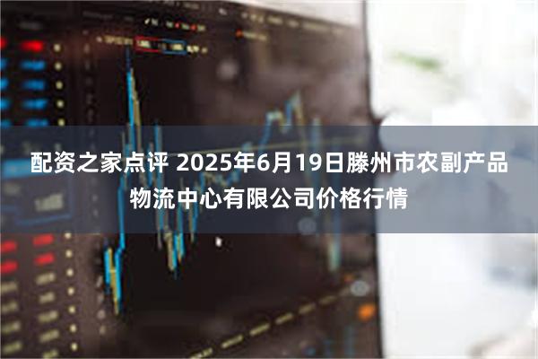 配资之家点评 2025年6月19日滕州市农副产品物流中心有限公司价格行情