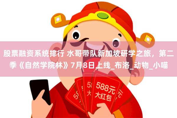 股票融资系统排行 水哥带队新加坡研学之旅，第二季《自然学院林》7月8日上线_布洛_动物_小喵