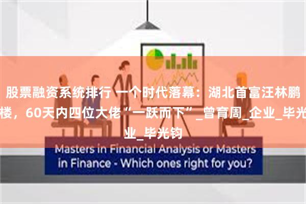 股票融资系统排行 一个时代落幕：湖北首富汪林鹏坠楼，60天内四位大佬“一跃而下”_曾育周_企业_毕光钧