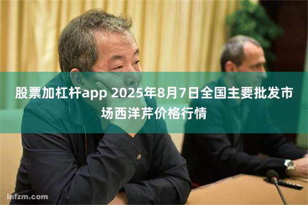 股票加杠杆app 2025年8月7日全国主要批发市场西洋芹价格行情