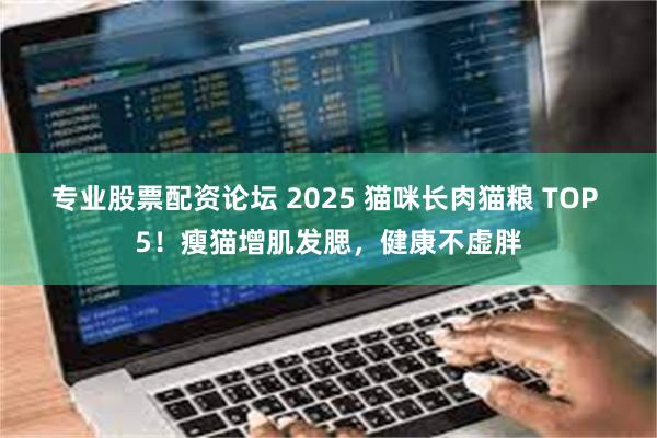 专业股票配资论坛 2025 猫咪长肉猫粮 TOP 5!瘦猫增肌发腮,健康不虚胖